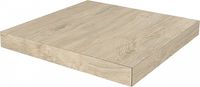 Сходинка Kerama Marazzi Сальветти SG506500R GCS