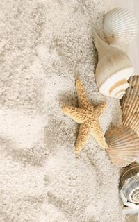 Декор Golden Tile Summer Stone Holiday В41321