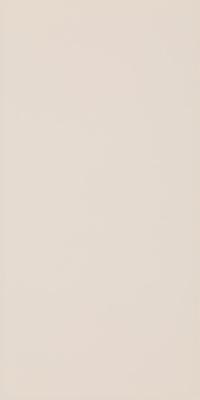 Декор Paradyz SYNERGY BIANCO INSERTO 30X60 G1