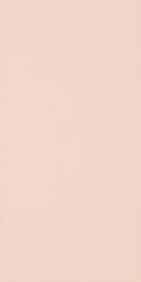Плитка Paradyz SYNERGY CORAL SCIANA 30X60 G1