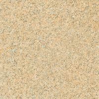 Плитка Zeus Ceramica GIALLO VENEZIANO (X60AY3R)