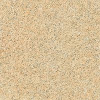 Плитка Zeus Ceramica GIALLO VENEZIANO (X60AY3R) зображення 1