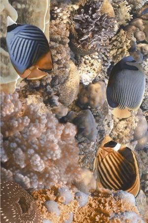 Декор Golden Tile Agat И33341