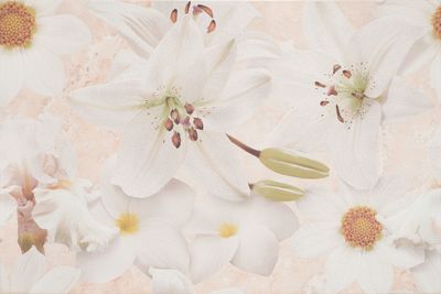 Декор Cersanit Alama beige flower