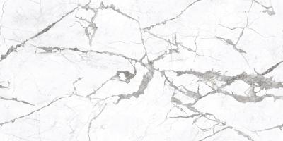 Плитка CERAMA MARKET ALESSIA INVISIBLE CARVING 60х120