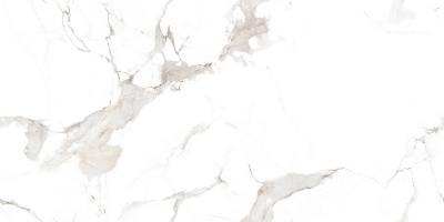 Плитка CERAMA MARKET ANTONIO WHITE CARVING 60х120