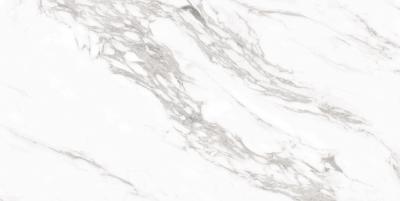 Плитка CERAMA MARKET ARABESCATO SILVER SUGAR 60х120