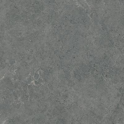 Плитка Paradyz AUTHORITY GRAPHITE GRES REKT. MAT 120x120
