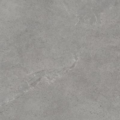 Плитка Paradyz AUTHORITY GREY GRES REKT. MAT 120x120