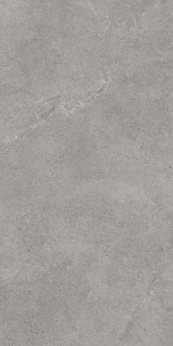 Плитка Paradyz AUTHORITY GREY GRES REKT. MAT 60x120