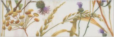 Бордюр Kerama Marazzi Астория SST A04 12105R
