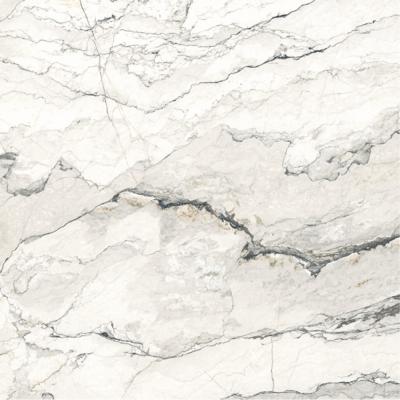 Плитка Argenta Ceramica BRECCIA LUNARE 120x120