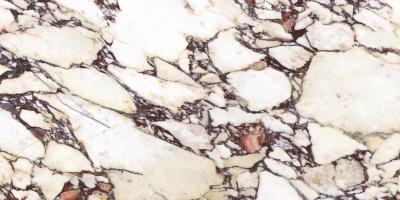 Плитка CALACATTA VIOLA NATURAL 120x120