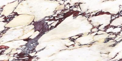 Плитка CALACATTA VIOLA NATURAL 60x120