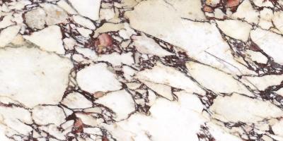 Плитка CALACATTA VIOLA POLISHED 120x280
