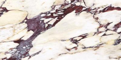 Плитка CALACATTA VIOLA POLISHED 60x120