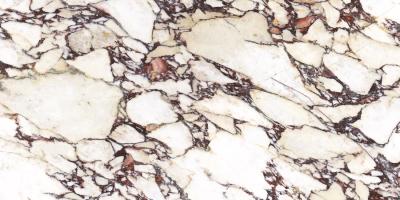 Плитка CALACATTA VIOLA POLISHED 60x120