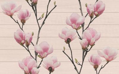 Плитка Cersanit CARMEL FLORAL MOTIFS 25X40 G1