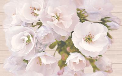 Декор Cersanit CARMEL INSERTO FLOWER 25X40