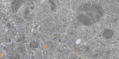 Плитка Cersanit CASTELLO LIGHT GREY MATT 29,8X59,8 G1
