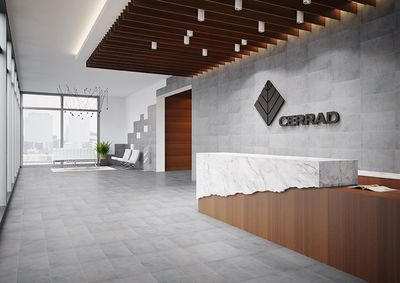 Плитка Cerrad Limeria Marengo 9200 60x60