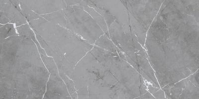 Плитка Cersanit CONRAD GREY MATT 29,8X59,8 G1