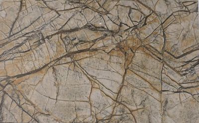 Плитка Gani Marble D697760N-A D697760N-B Rainforest Brown