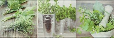 Декор Ceramika Konskie Salerno glass kitchen 1 inserto 20x60