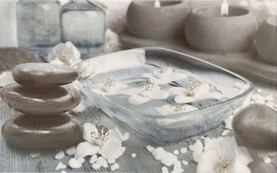 Декор Cersanit OLIVIA DECOR BLUE SPA2 25X40