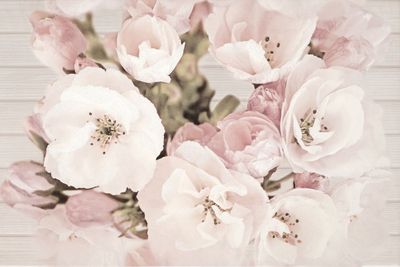 Декор Cersanit SAKURA INSERTO FLOWER 30X45