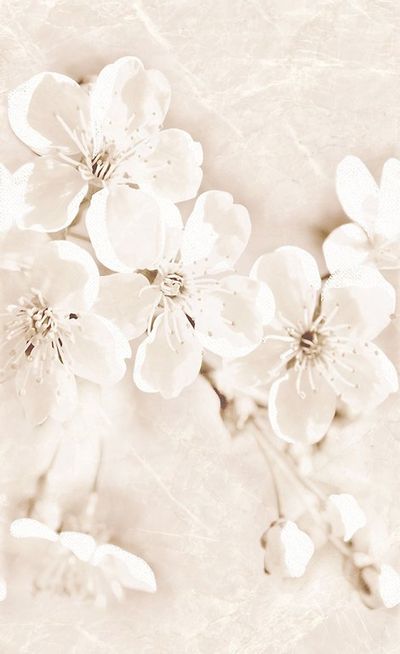 Декор Cersanit SOFI INSERTO FLOWER 25X40