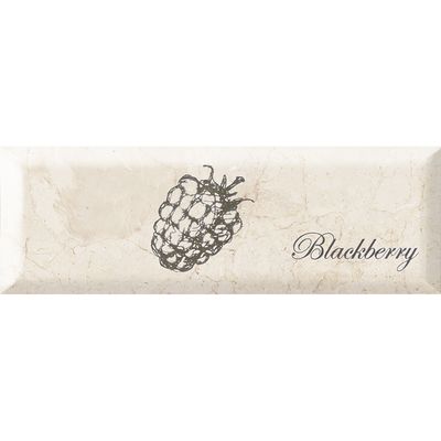 Декор MONOPOLE FRUIT MISTRAL BLACKBERRY 10х30