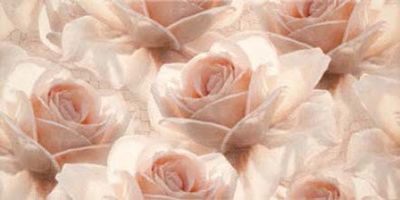Декор Opoczno Royal Garden Inserto Flower 30x60
