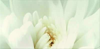 Плитка Opoczno DIAGO INSERTO FLOWER C