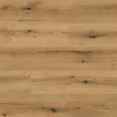Ламінат Kaindl Natural Touch 8 mm Standard Plank Дуб EVOKE KNOT COAST