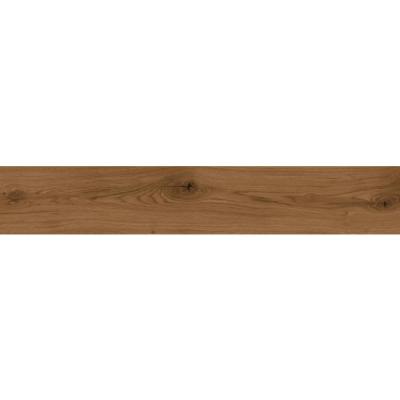 Плитка Ecoceramic Dynamic Noce 20х120