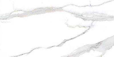 Плитка Raviraj Empresh Grey 60x120 carving matt