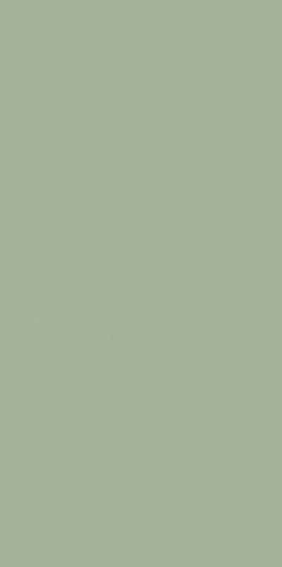 Плитка Paradyz FEELINGS GREEN SCIANA 30x60