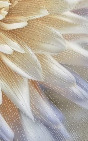 Плитка Golden Tile Fiori И9Б331