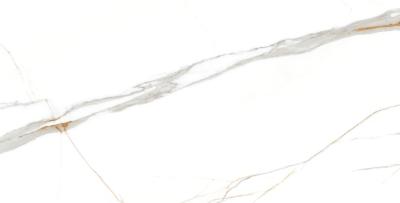 Плитка CERAMA MARKET GLYSTER AXIS GLOSSY INK 60х120