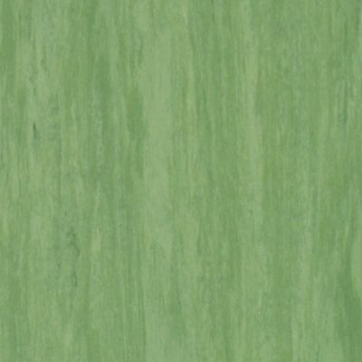 Гомогенний лінолеум Tarkett Standard Plus Dark GREEN 0921