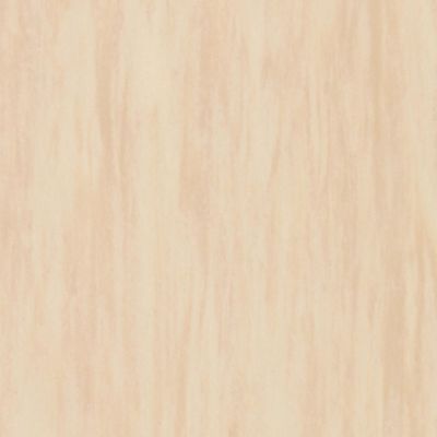 Гомогенний лінолеум Tarkett Standard Plus SAND 0913