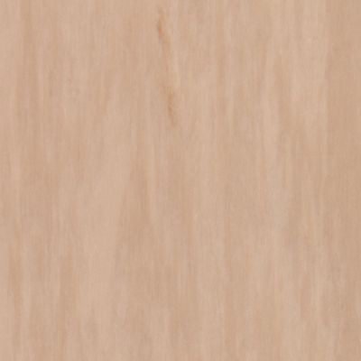Гомогенный линолеум Tarkett Standard Plus SAND MEDIUM 0914