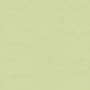 Гомогенний лінолеум Tarkett Wallgard 229