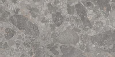 Плитка Cersanit GPT1017 GREY MATT RECT 59,8X119,8 G1