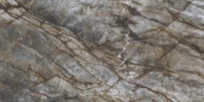 Плитка Cerrad GRES BRAZILIAN QUARTZITE BLACK POLER 60x120