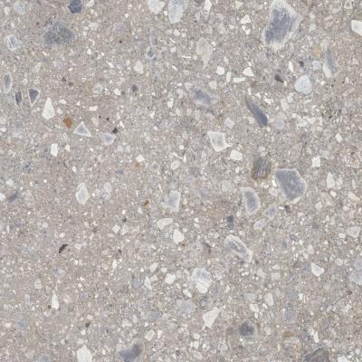 Плитка Cerrad CEPPO NUOVO SILVER POLER 120x120