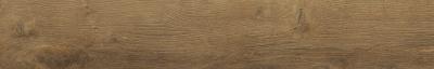 Плитка Cerrad GUARDIAN WOOD HONEY RECT 20x120