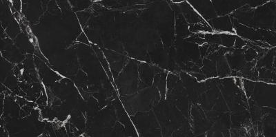 Плитка Cerrad MARMO MOROCCO BLACK POLER 60x120