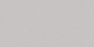 Плитка Cerrad GRES MONOLIGHT EXTERIOR GREY MX#10 R10 RECT 60x120